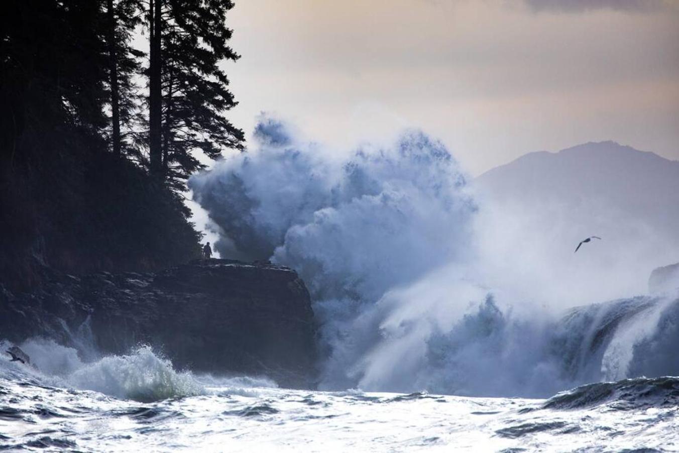 Villa The Great Escape - Port Renfrew Exterior foto
